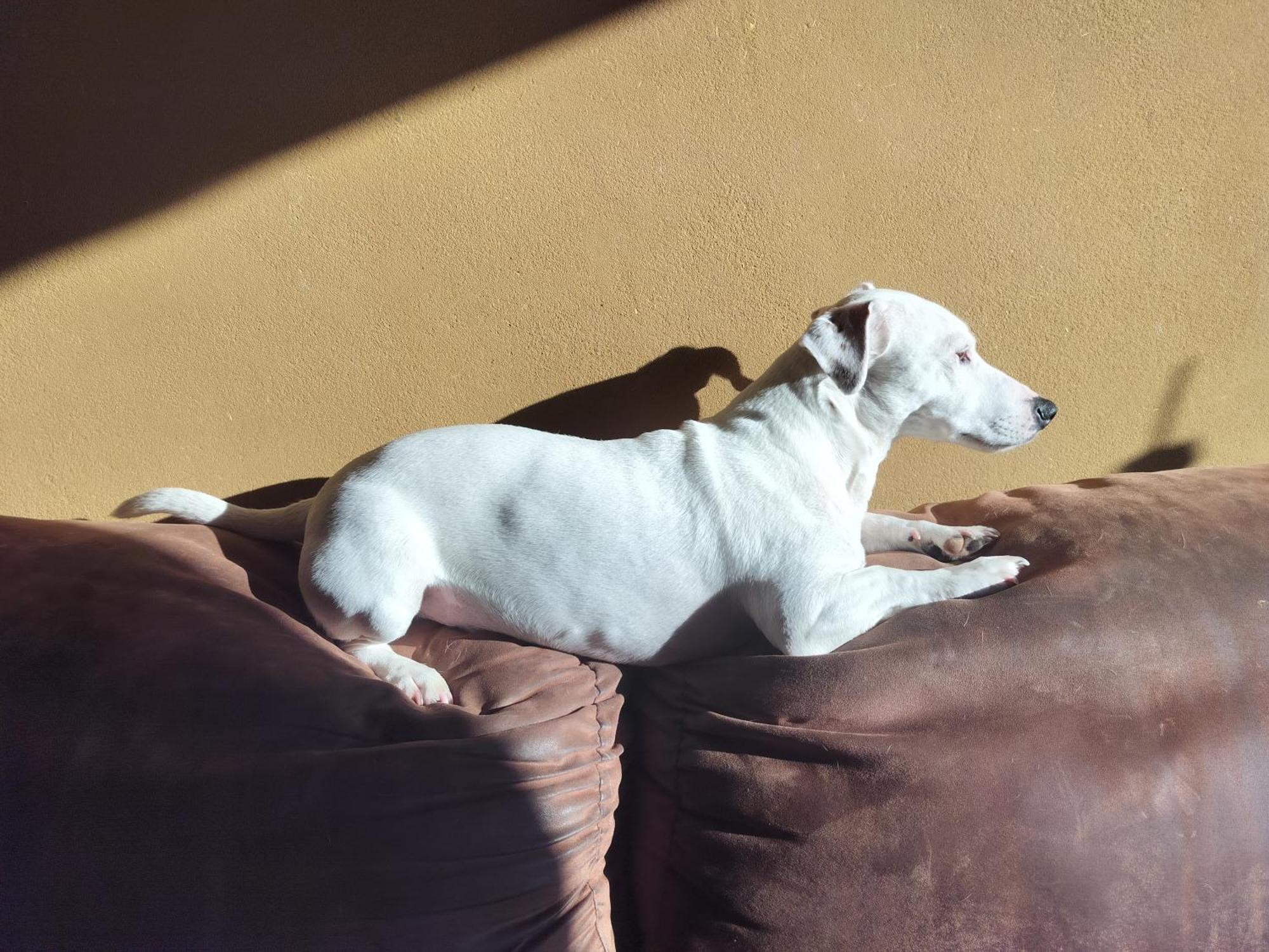 Gee Is Sharing Her Home Льеж Экстерьер фото